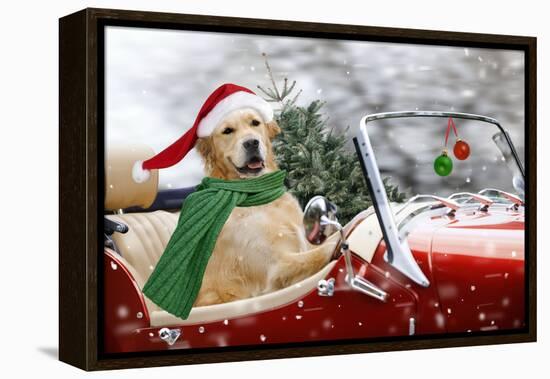 Golden Retriever Driving Car Collecting Christmas Tree-null-Framed Premier Image Canvas