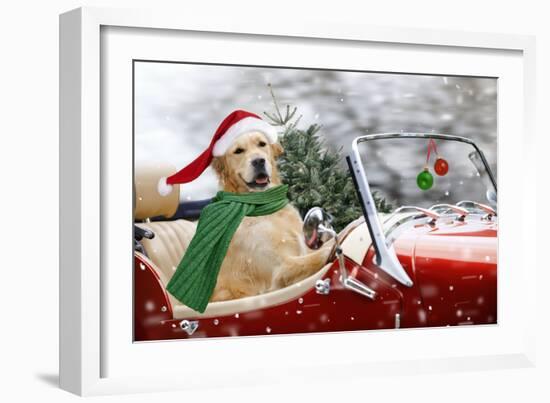 Golden Retriever Driving Car Collecting Christmas Tree-null-Framed Premium Photographic Print