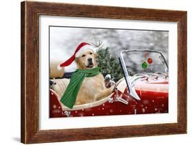 Golden Retriever Driving Car Collecting Christmas Tree-null-Framed Photographic Print