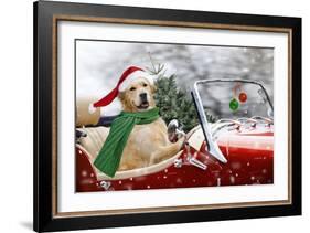 Golden Retriever Driving Car Collecting Christmas Tree-null-Framed Photographic Print