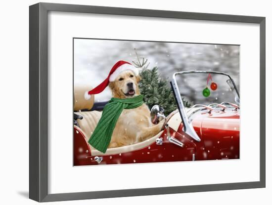 Golden Retriever Driving Car Collecting Christmas Tree-null-Framed Photographic Print