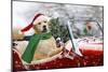 Golden Retriever Driving Car Collecting Christmas Tree-null-Mounted Photographic Print