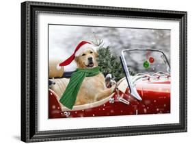 Golden Retriever Driving Car Collecting Christmas Tree-null-Framed Photographic Print