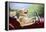 Golden Retriever Driving Car-null-Framed Premier Image Canvas