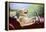 Golden Retriever Driving Car-null-Framed Premier Image Canvas