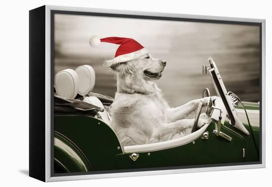 Golden Retriever in Car Wearing Christmas Hat-null-Framed Premier Image Canvas