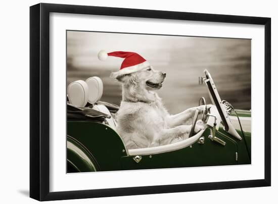 Golden Retriever in Car Wearing Christmas Hat-null-Framed Photographic Print