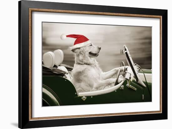 Golden Retriever in Car Wearing Christmas Hat-null-Framed Photographic Print