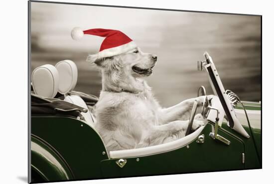 Golden Retriever in Car Wearing Christmas Hat-null-Mounted Photographic Print