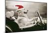 Golden Retriever in Car Wearing Christmas Hat-null-Mounted Photographic Print