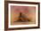 Golden Retriever in the Setting Sun-Jai Johnson-Framed Giclee Print