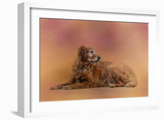 Golden Retriever in the Setting Sun-Jai Johnson-Framed Giclee Print