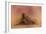 Golden Retriever in the Setting Sun-Jai Johnson-Framed Giclee Print