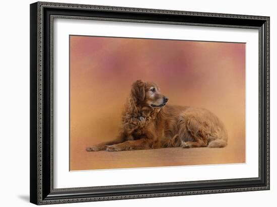 Golden Retriever in the Setting Sun-Jai Johnson-Framed Giclee Print