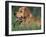 Golden Retriever Lieing in Grass, Us-Lynn M. Stone-Framed Photographic Print