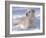 Golden Retriever Lying in Snow, USA-Lynn M. Stone-Framed Photographic Print