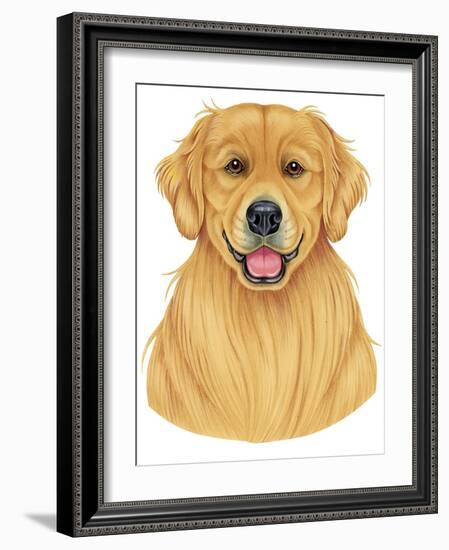 Golden Retriever Portrait-Tomoyo Pitcher-Framed Giclee Print