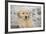 Golden Retriever Pup-null-Framed Photographic Print