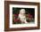 Golden Retriever Pup-null-Framed Photographic Print