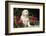 Golden Retriever Pup-null-Framed Photographic Print