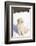 Golden Retriever Pup-Lynn M^ Stone-Framed Photographic Print