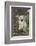 Golden Retriever Pup-Lynn M^ Stone-Framed Photographic Print