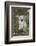 Golden Retriever Pup-Lynn M^ Stone-Framed Photographic Print