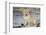 Golden Retriever Pup-Lynn M^ Stone-Framed Photographic Print