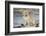 Golden Retriever Pup-Lynn M^ Stone-Framed Photographic Print