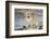 Golden Retriever Pup-Lynn M^ Stone-Framed Photographic Print