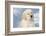 Golden Retriever Pup-Lynn M^ Stone-Framed Photographic Print