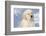 Golden Retriever Pup-Lynn M^ Stone-Framed Photographic Print