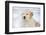 Golden Retriever Pup-Lynn M^ Stone-Framed Photographic Print