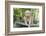 Golden Retriever Pup-Lynn M^ Stone-Framed Photographic Print