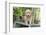 Golden Retriever Pup-Lynn M^ Stone-Framed Photographic Print