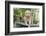 Golden Retriever Pup-Lynn M^ Stone-Framed Photographic Print