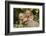 Golden Retriever Pup-Lynn M^ Stone-Framed Photographic Print