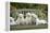 Golden Retriever Puppies on Garden Bench 7 Weeks-null-Framed Premier Image Canvas