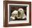 Golden Retriever Puppies-null-Framed Art Print