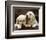 Golden Retriever Puppies-null-Framed Art Print