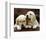 Golden Retriever Puppies-null-Framed Art Print