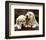 Golden Retriever Puppies-null-Framed Art Print