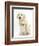 Golden Retriever Puppy, 16 Weeks, with Cream Shih-Tzu Puppy, 7 Weeks-Mark Taylor-Framed Photographic Print