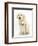 Golden Retriever Puppy, 16 Weeks, with Cream Shih-Tzu Puppy, 7 Weeks-Mark Taylor-Framed Photographic Print