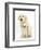 Golden Retriever Puppy, 16 Weeks, with Cream Shih-Tzu Puppy, 7 Weeks-Mark Taylor-Framed Photographic Print