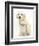 Golden Retriever Puppy, 16 Weeks, with Cream Shih-Tzu Puppy, 7 Weeks-Mark Taylor-Framed Photographic Print