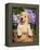 Golden Retriever Puppy in Bucket (Canis Familiaris) Illinois, USA-Lynn M^ Stone-Framed Premier Image Canvas