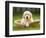 Golden Retriever Puppy in Pet Bed-Jim Craigmyle-Framed Photographic Print