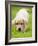 Golden Retriever Puppy Playing Outdoors-Jim Craigmyle-Framed Photographic Print