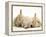 Golden Retriever Puppy Sleeping Between Two Young Sandy Lop Rabbits-Jane Burton-Framed Premier Image Canvas